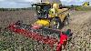 Sonnenblumen Ernte 2023 M Hdrescher New Holland Cr 9 80 U0026 Traktor Valtra Combine Harvester Sunflower